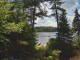 Hoel Pond, New York Fr. 10.7.