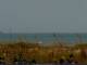 Cape Canaveral, Florida Fr. 10.7.