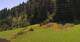 Going am Wilden Kaiser Fr. 10.7.