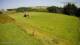 Princetown Fr. 10.7.