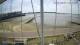 Brightlingsea Fr. 10.7.