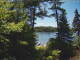 Hoel Pond, New York Sa. 11.7.