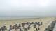 Norderney Sa. 11.7.