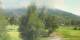 Barcelonnette Sa. 11.7.
