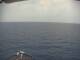 Mein Schiff 4 Sa. 11.7.