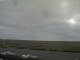 Borkum Sa. 11.7.