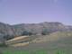 Cantalupo Ligure Sa. 11.7.