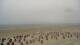 Norderney Sa. 11.7.