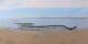 Saint-Brevin-les-Pins Sa. 11.7.