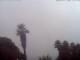 El Paso (La Palma) Sa. 11.7.