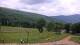 Nellysford, Virginia Sa. 11.7.