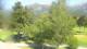 Barcelonnette So. 12.7.