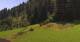 Going am Wilden Kaiser So. 12.7.