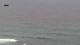 Ericeira So. 12.7.
