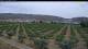 Arnedo So. 12.7.