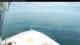 Norwegian Bliss So. 12.7.