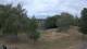 Steinbrunn So. 12.7.