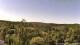Altenau (Harz) So. 12.7.