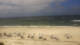 Hörnum (Sylt) So. 12.7.