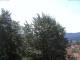 Gmund am Tegernsee Mo. 13.7.