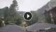 Courmayeur Mo. 13.7.