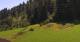 Going am Wilden Kaiser Mo. 13.7.