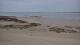 Carnac Mo. 13.7.