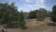 Steinbrunn Mo. 13.7.