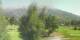 Barcelonnette Di. 14.7.