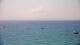 Le Lavandou Di. 14.7.