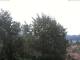 Gmund am Tegernsee Di. 14.7.