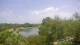 Lakewood Ranch, Florida Di. 14.7.