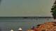 Bokeelia, Florida Di. 14.7.