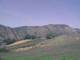 Cantalupo Ligure Di. 14.7.