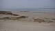 Carnac Di. 14.7.