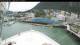 Norwegian Bliss Di. 14.7.