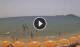 Formia Di. 14.7.