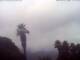 El Paso (La Palma) Di. 14.7.
