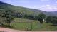 Nellysford, Virginia Di. 14.7.