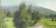 Barcelonnette Mi. 15.7.