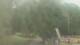 Fairview, Tennessee Mi. 15.7.