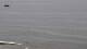 Ericeira Mi. 15.7.
