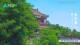 Wuzhen Mi. 15.7.
