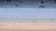 Henne Strand Mi. 15.7.