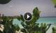 Eh'mafushi (Süd-Malé-Atoll) Mi. 15.7.