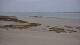 Carnac Mi. 15.7.
