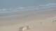 De Panne Mi. 15.7.