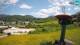 Bohinjska Bistrica Mi. 15.7.