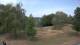 Steinbrunn Mi. 15.7.