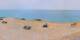 Donville-les-Bains Mi. 15.7.